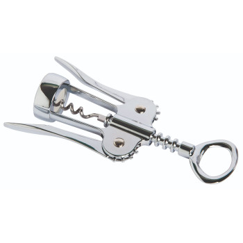 ΑΝΟΙΧΤΗΡΙ ΜΕ ΠΤΕΡΥΓΙΑ ΧΡΩΜΙΟ