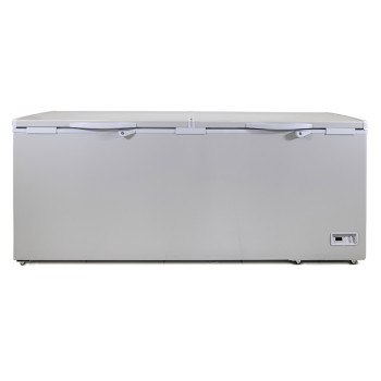 Καταψύκτης Μπαούλο ES790 με 2 καπάκια 750 Λίτρων