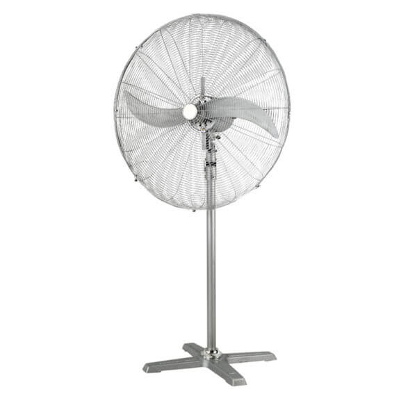anemistiras-66-cm-2
